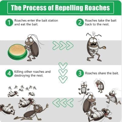 Cockroach Killer Powder Gel (Pack of 24)