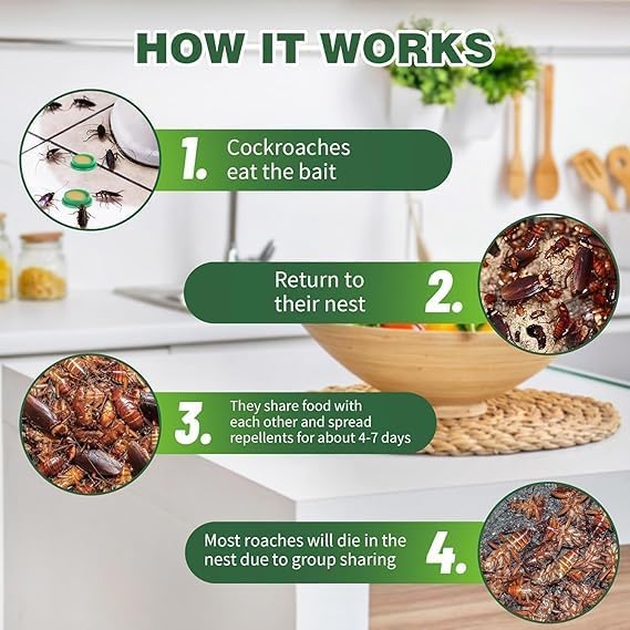 Cockroach Killer Powder Gel (Pack of 24)