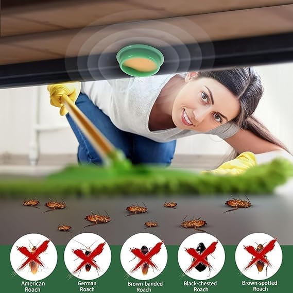 Cockroach Killer Powder Gel (Pack of 24)